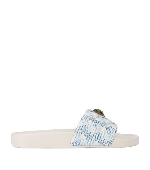 Meena Eagle Slides