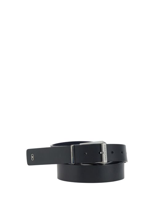 Reversible Belt