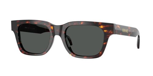 Dark Grey Square Mens Sunglasses VE4486 550987 52