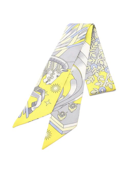 Hermès Pre-Owned 여성 2010s La Source de Pegase scarf - Blue 967427
