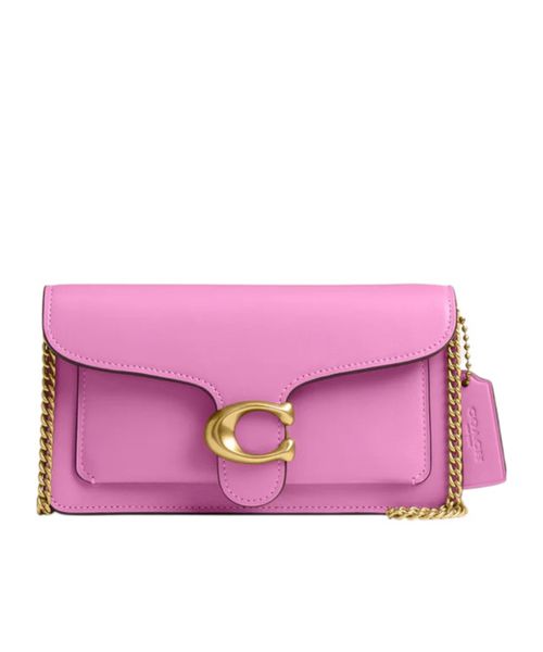 Tabby Chain Clutch