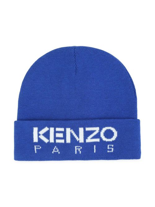 Essential D2 Hat