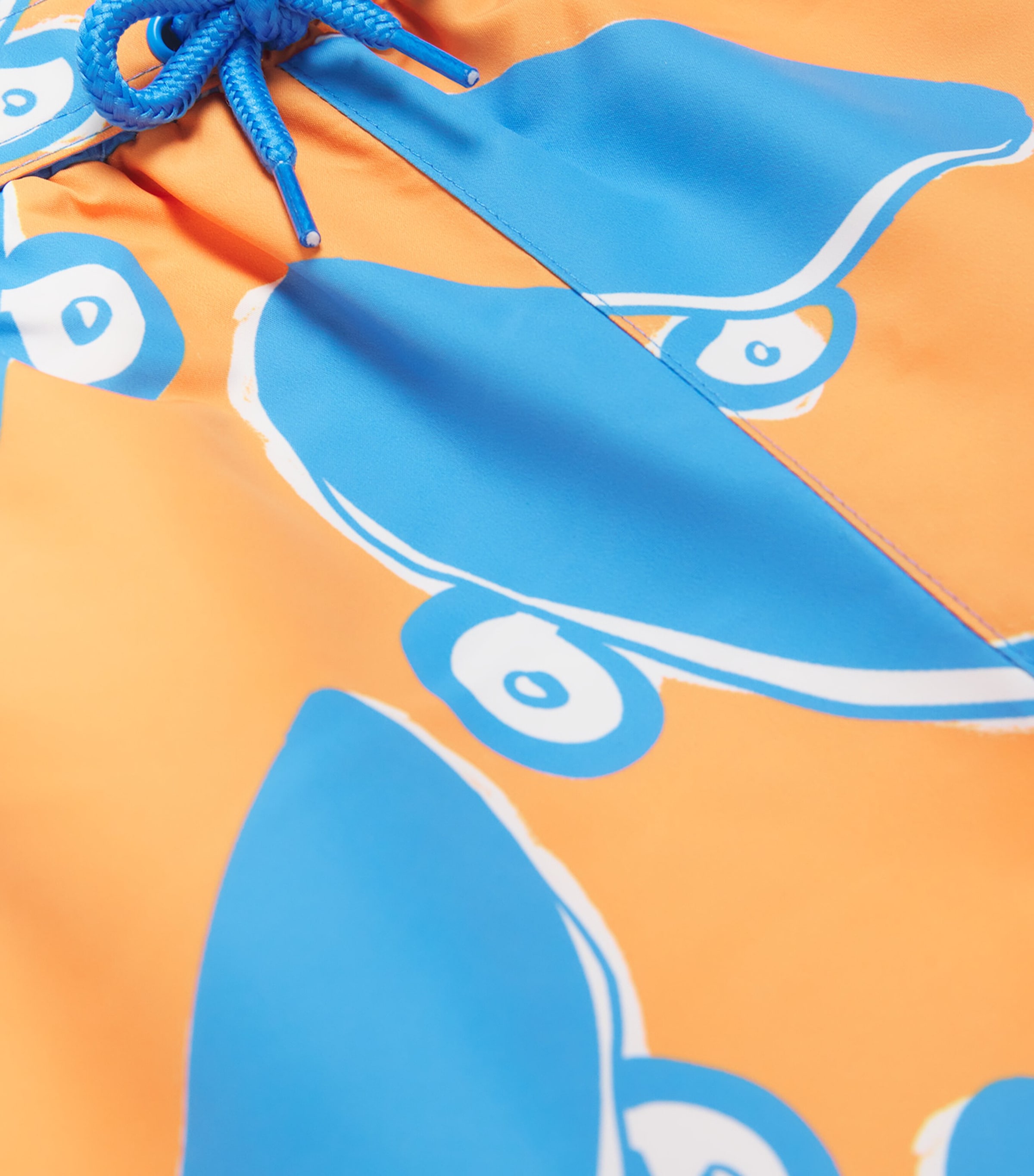 Skateboard Swim Shorts