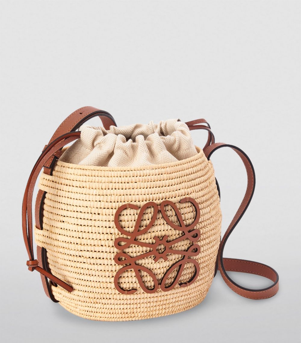 Loewe Paula's Ibiza Beehive raffia bucket bag