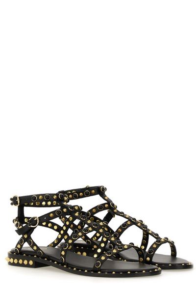 Ash Stud-Embellished Sandals