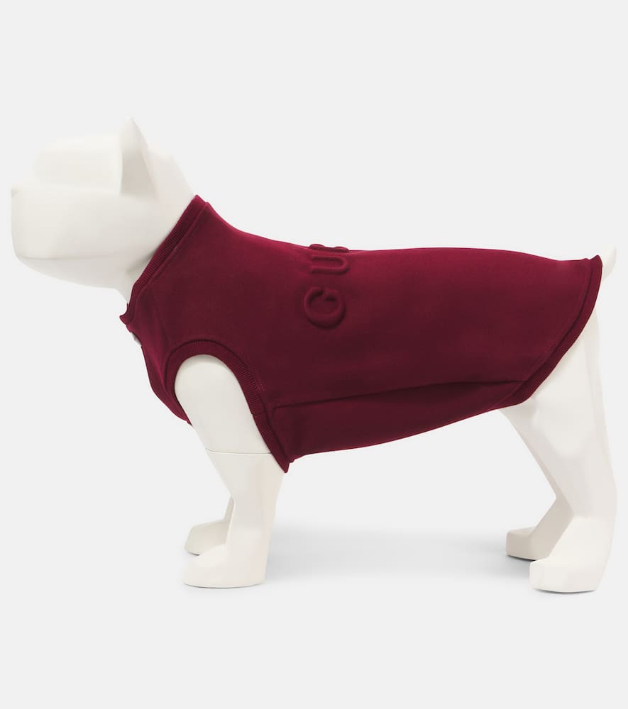 Gucci Gucci Script cotton-blend dog sweater
