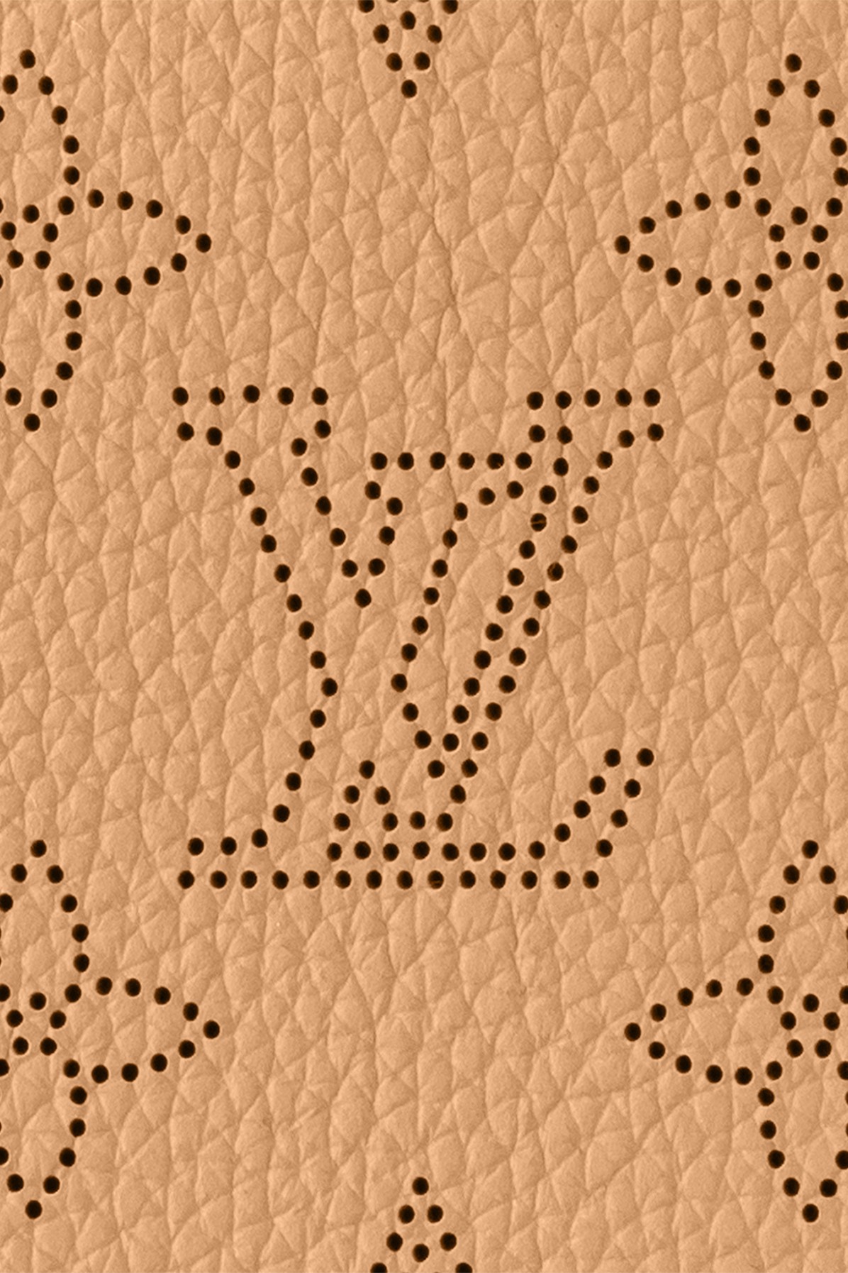 Louis Vuitton Carmel bag - Realry: A global fashion sites aggregator