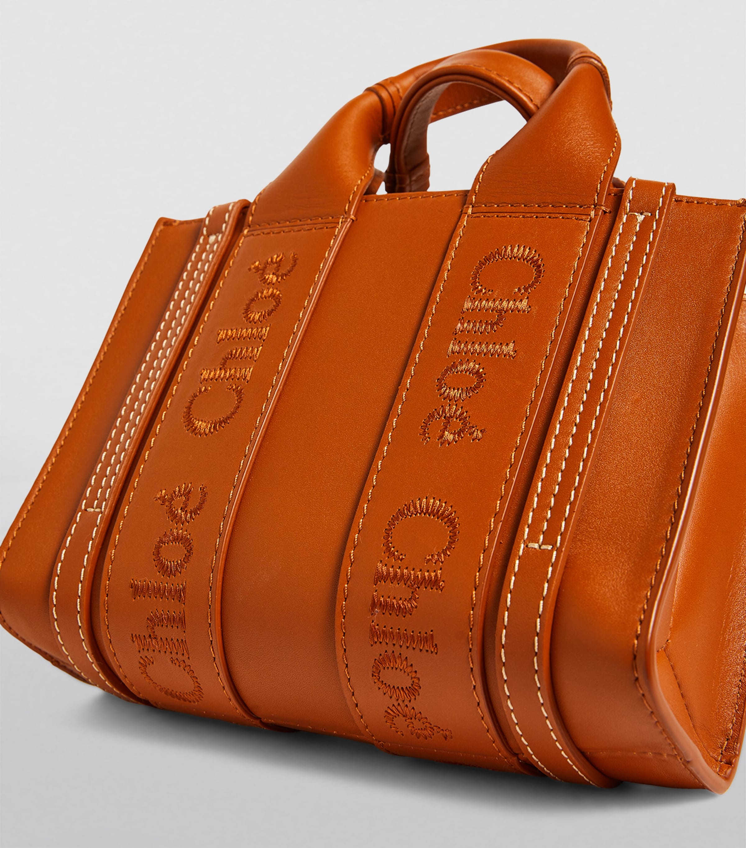 Mini Leather Woody Tote Bag