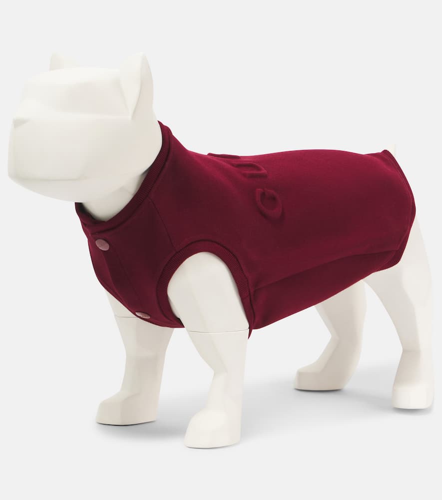 Gucci Gucci Script cotton-blend dog sweater