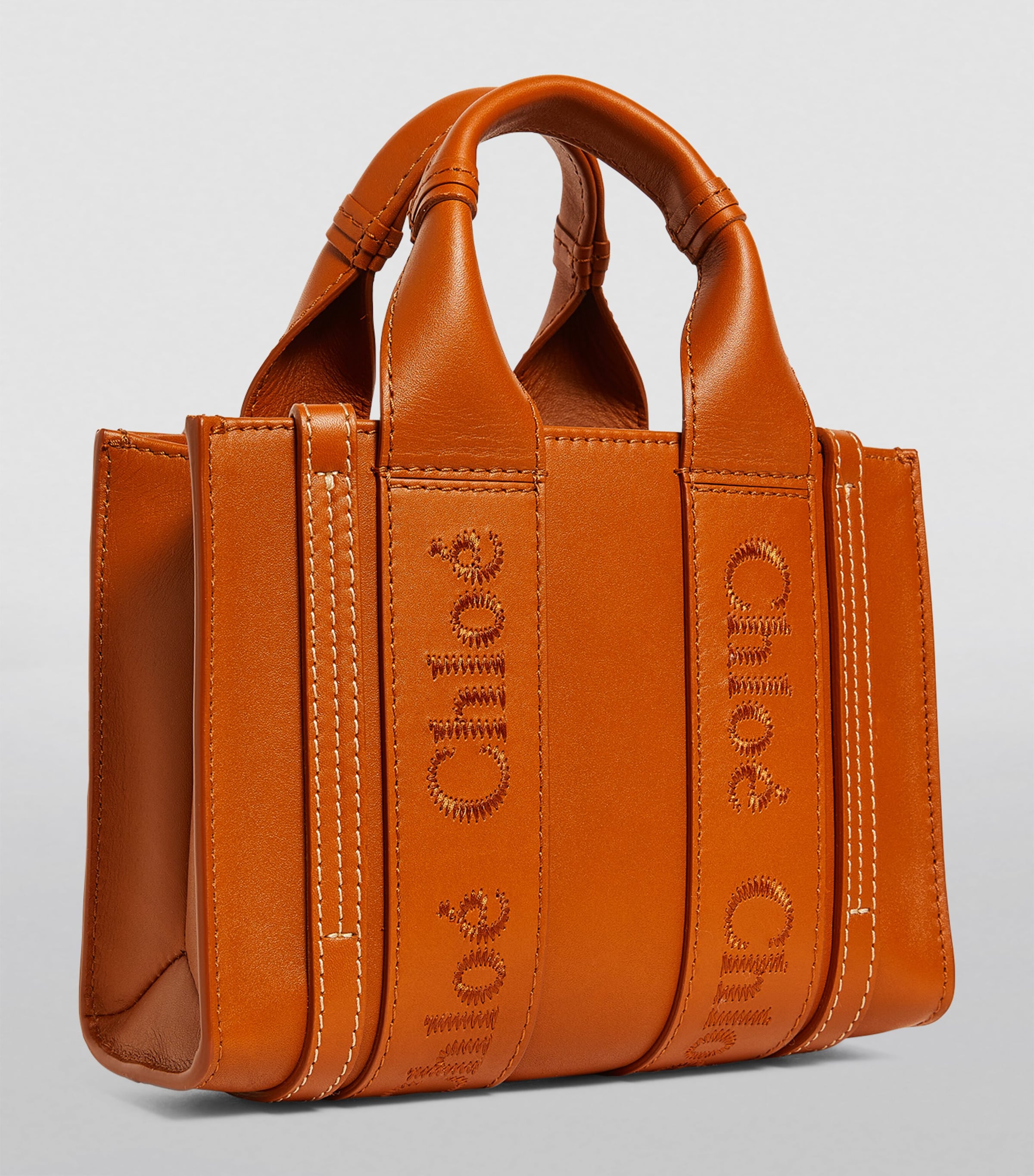Mini Leather Woody Tote Bag