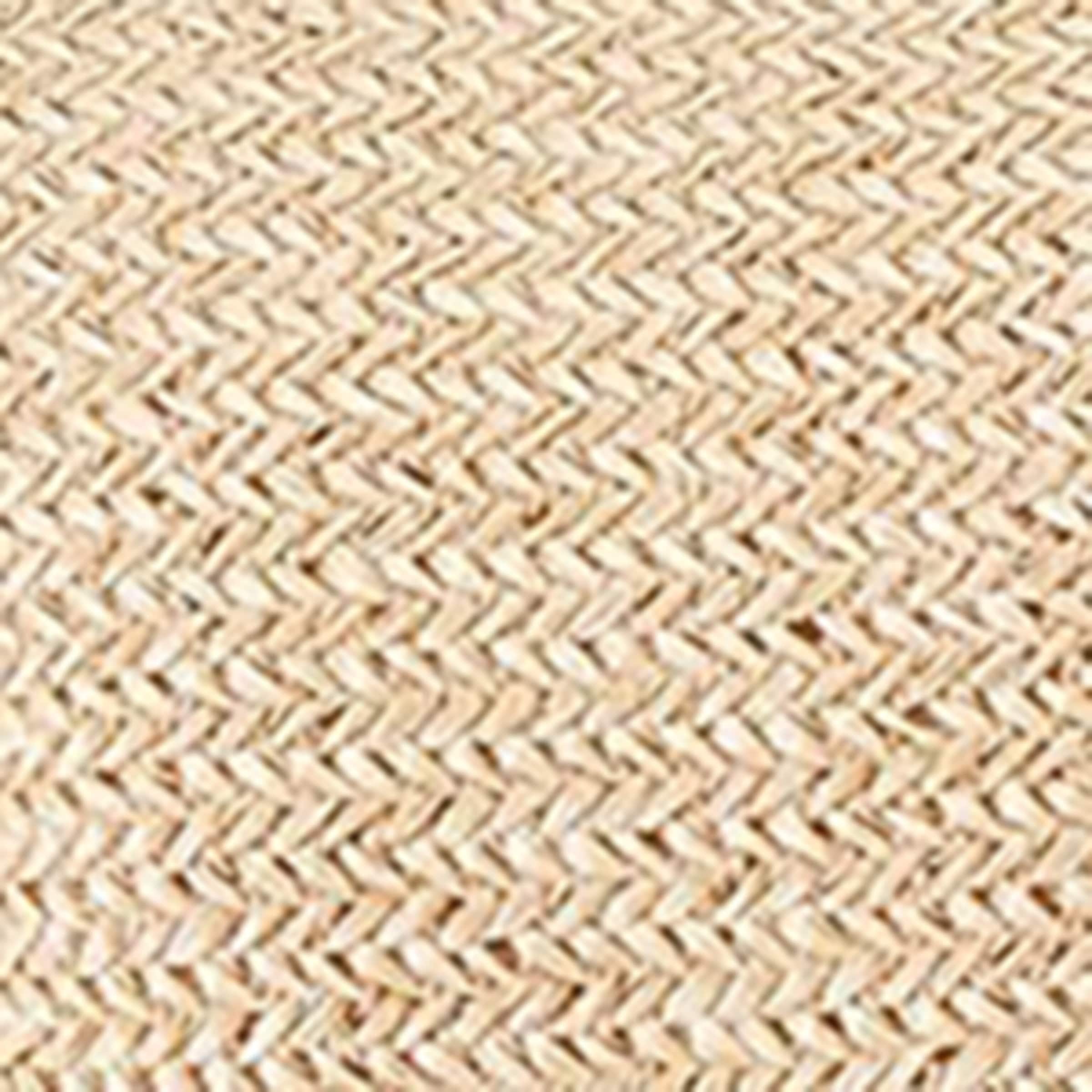 Raffia Taurus Dumpling Top-Handle Bag