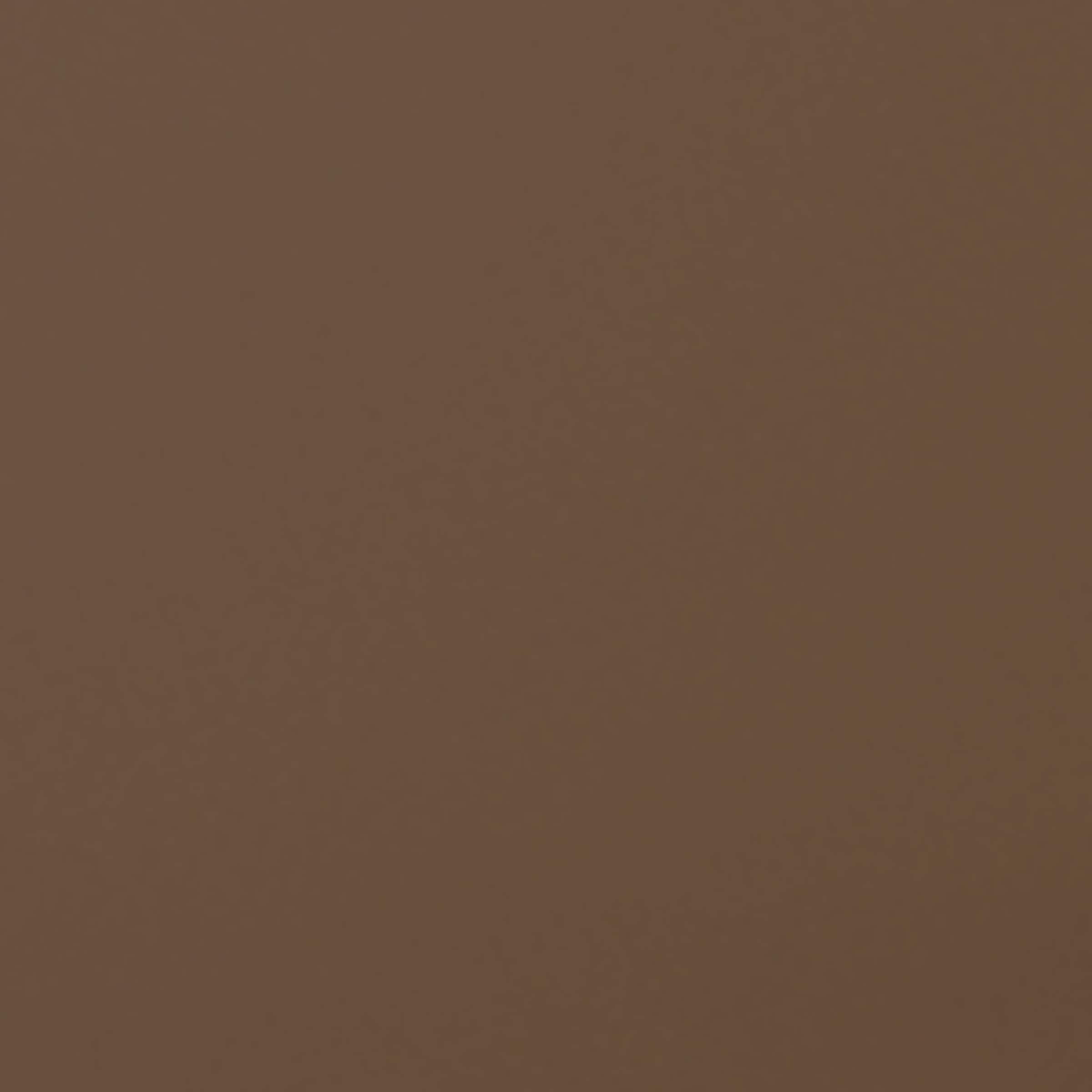 Medusa Rectangular Sunglasses
