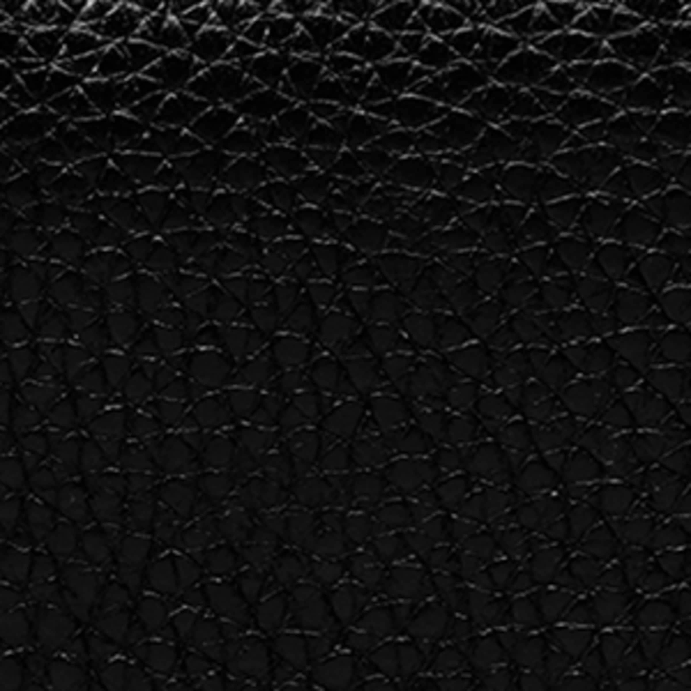 Medium Leather Darley Wallet