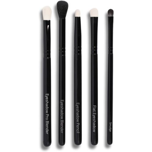 AYU 'Its all in the Eyes' Brush Set