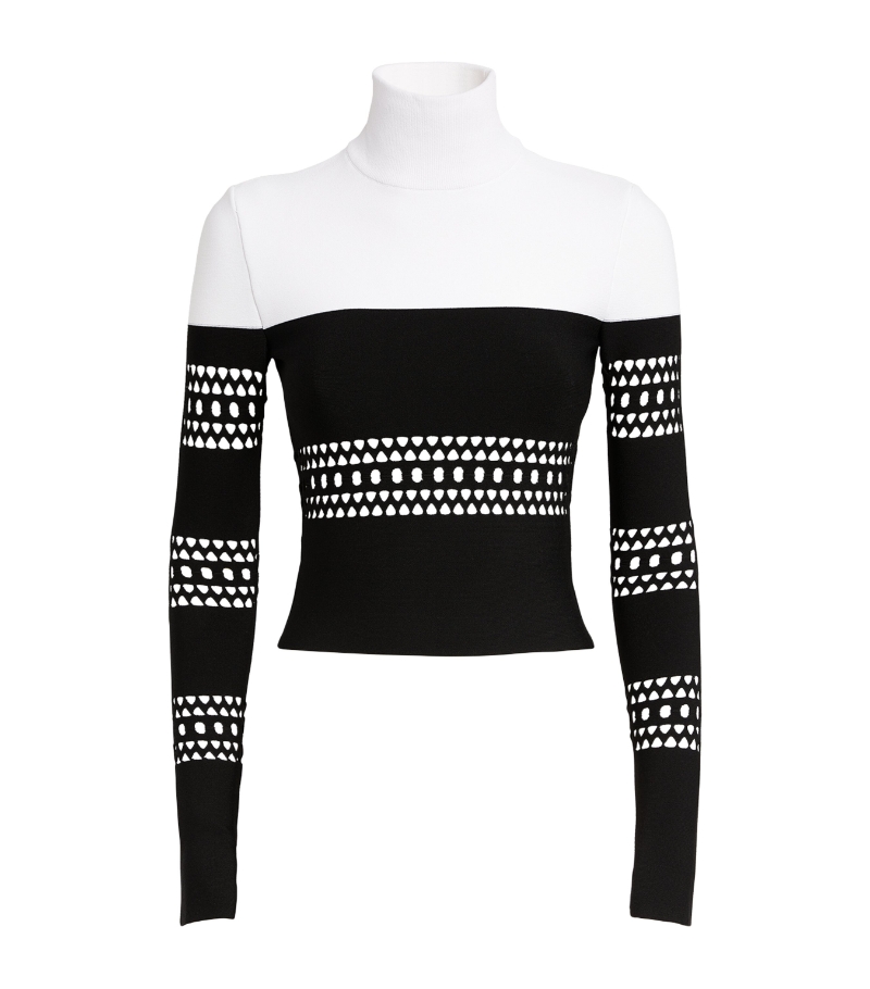 알라이아 Striped Vienne Sweater